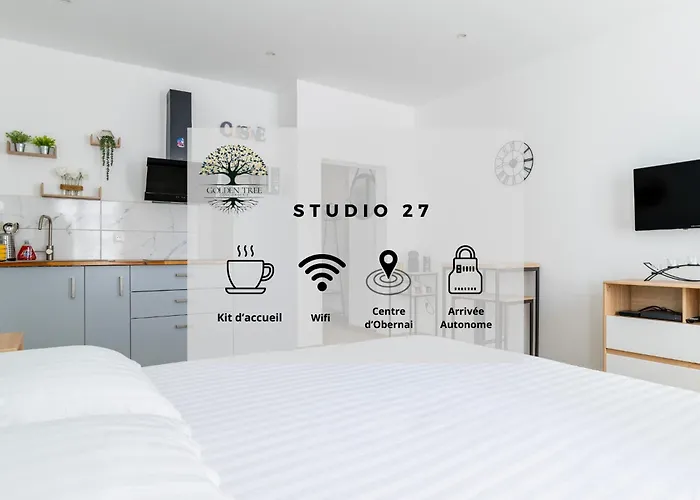 Studio 27 - Studio Elegant Et Lumineux Au Centre D\'Obernai